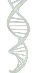 Image showing DNA structure model