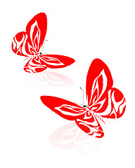 Image showing beauty butterflies