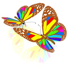 Image showing beauty butterflies