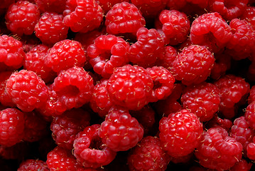 Image showing Rasberries