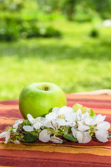 Image showing Green apple with a branch of a blossoming apple-tree