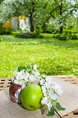 Image showing Green apple with a branch of a blossoming apple-tree. On a table