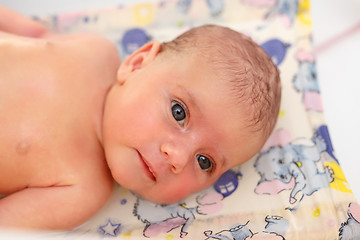 Image showing take a bath for a young adorable baby