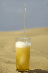 Image showing Serving beer in desert