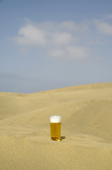 Image showing Fresh beer in desert