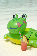 Image showing Frog and drink