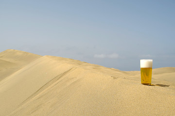 Image showing Beer in desert