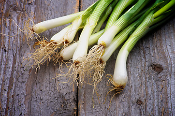 Image showing Spring Onion