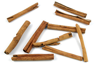 Image showing Cinnamon sticks