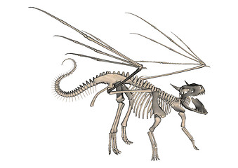 Image showing Dragon Skeleton