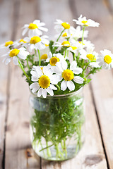 Image showing chamomile bouquet 