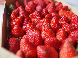 Image showing Strawberries fruits