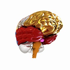 Image showing Colorfull human brain
