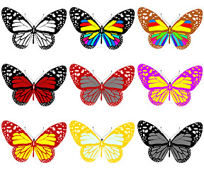 Image showing Butterflies botany set