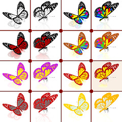 Image showing Butterflies botany set