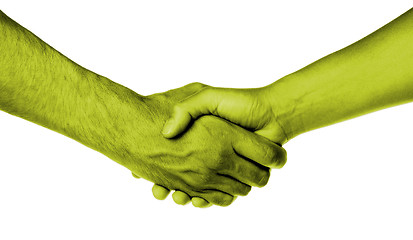 Image showing Shaking hands of two people, male and female