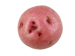 Image showing Red potato