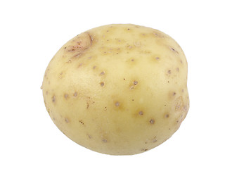 Image showing White potato