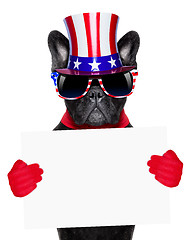 Image showing american dog