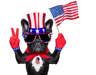 Image showing american dog