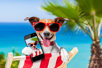 Image showing summer selfie dog 