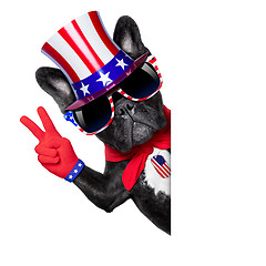 Image showing american dog