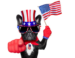 Image showing american dog