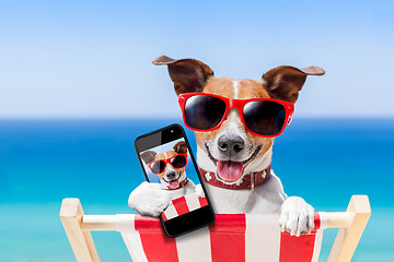 Image showing summer selfie dog 