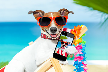 Image showing summer selfie dog 