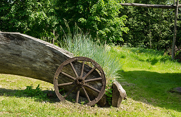 Image showing sedges grow near old wooden carriage wheel 