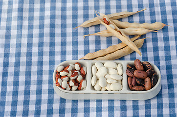 Image showing beans on three piece plate on plaid background 