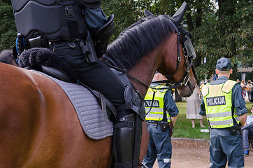 Image showing mounted police horse and policeman public event  