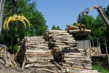 Image showing Crane claw and stack of logs near truck trailer 