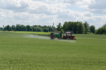 Image showing special equipment fertilize wheat crop field 