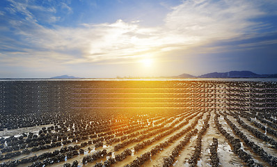 Image showing Oyster beach in HongKong Pak Nai sunset