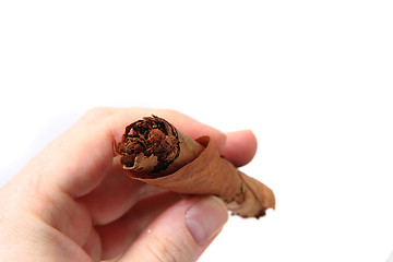 Image showing old cigar in human hand