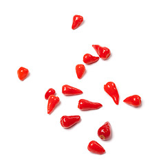 Image showing Piri-piri hot peppers