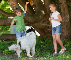 Image showing Children playing with dog in garden