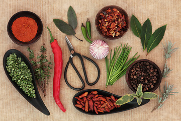 Image showing Fresh and Dried Herbs