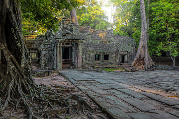 Image showing Sunrise over Ta Phrom