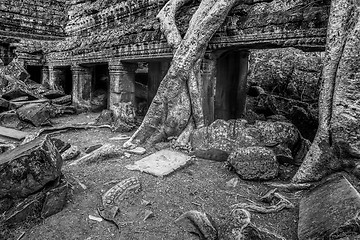 Image showing Sunrise over Ta Phrom