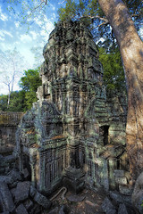 Image showing Sunrise over Ta Phrom