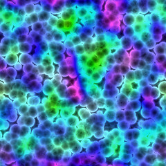 Image showing Bacteria cells close up