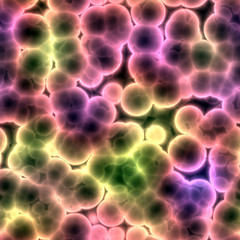 Image showing Bacteria cells close up