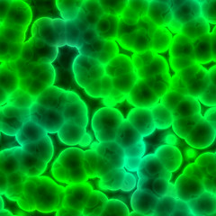 Image showing Bacteria cells close up