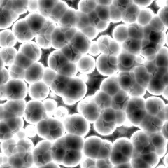 Image showing Bacteria cells close up