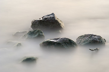 Image showing Wet stones in the lake. 