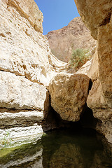 Image showing Mountains and water in the Ein Gedi nature reserve 