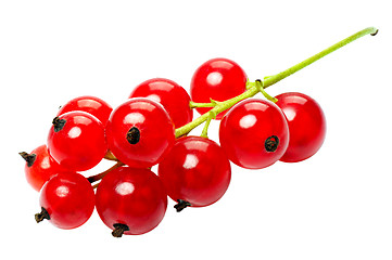 Image showing Red currant berries, isolated on a white background