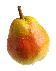 Image showing Pear 